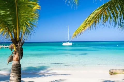 On the beach, sun loungers, beach towels