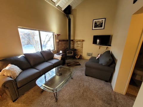 Living area | TV, fireplace, printers