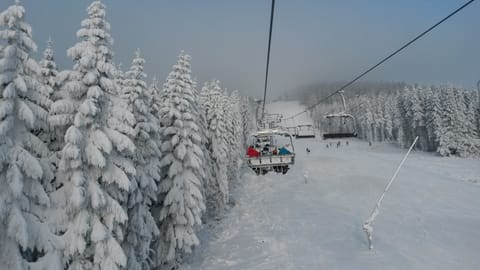 Snow and ski sports