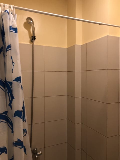 Shower, bidet, towels, toilet paper