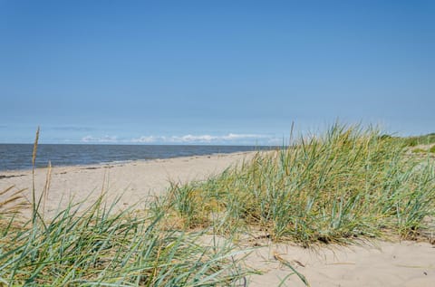 Beach nearby, sun loungers