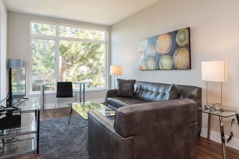 Sunnyvale/Mountain View/Cupertino Mountain View 1 Bedroom Living Room