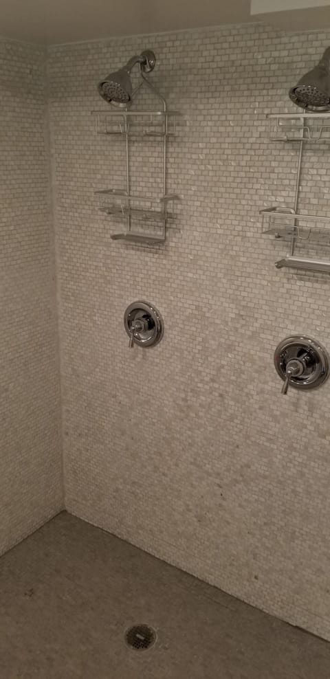 Combined shower/tub, hair dryer, towels