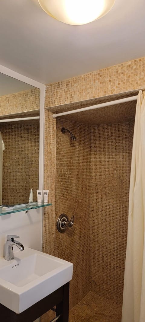 Combined shower/tub, hair dryer, towels