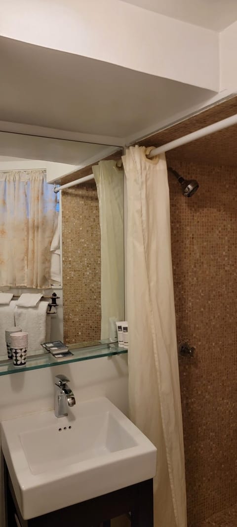 Combined shower/tub, hair dryer, towels