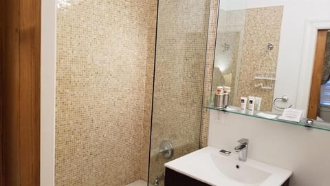 Combined shower/tub, hair dryer, towels