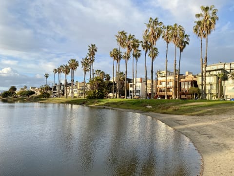 Beach nearby, sun loungers, beach towels