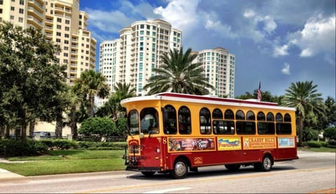 Super fun public transportation - Ride it to Pier 60 or all the way to St Pete!