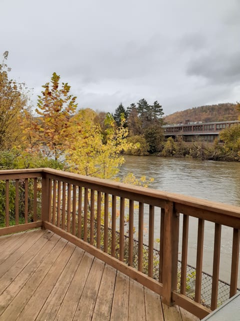 Deck view off kitchen