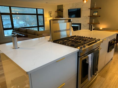 Gas range in center of island with pop up fan and electrical plugs