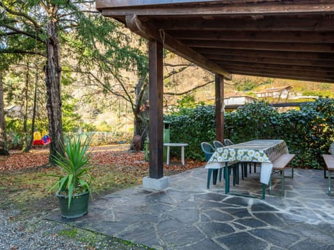 Plant, Property, Furniture, Flowerpot, Table, Shade, Botany, Outdoor Table, Outdoor Furniture, Flower