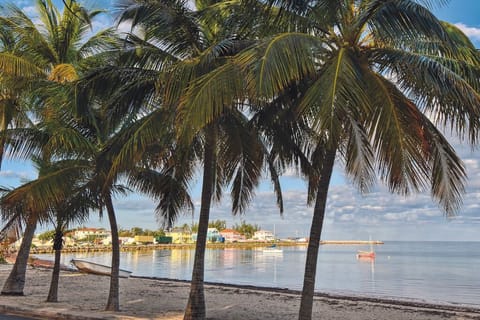 Beach nearby, sun loungers, beach towels