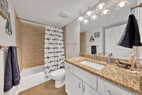 Combined shower/tub, hair dryer, towels, soap