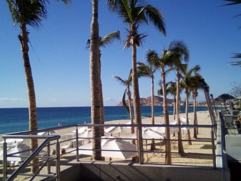 Beach nearby, sun loungers