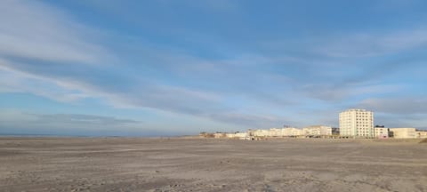 On the beach