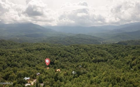 Treehouse Resort aerial view