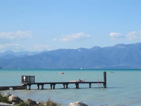 Region [summer] (>5 km)