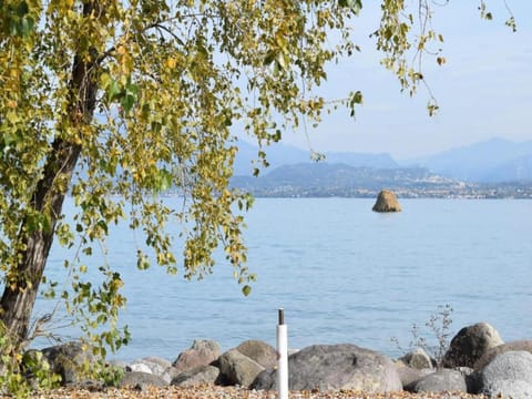 Region [summer] (>5 km)