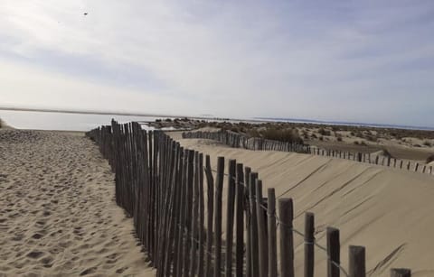 On the beach