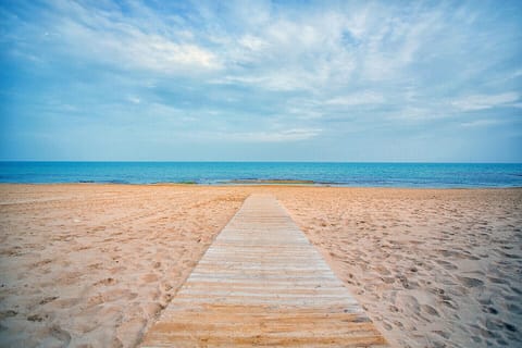 On the beach