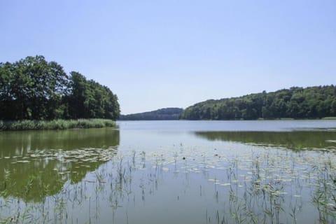 Surroundings [summer] (1-5 km)