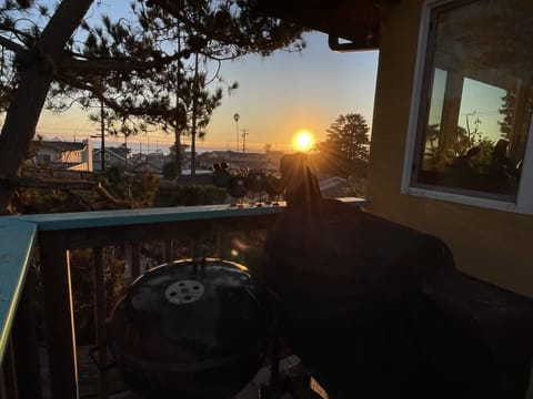 View from back porch.