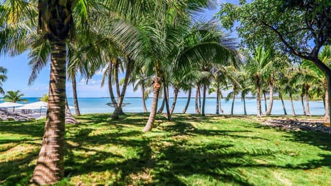 On the beach, sun loungers, beach towels