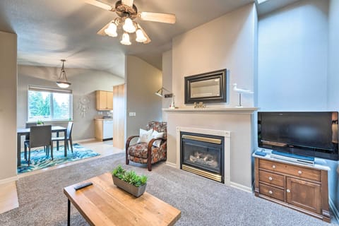 TV, fireplace, books