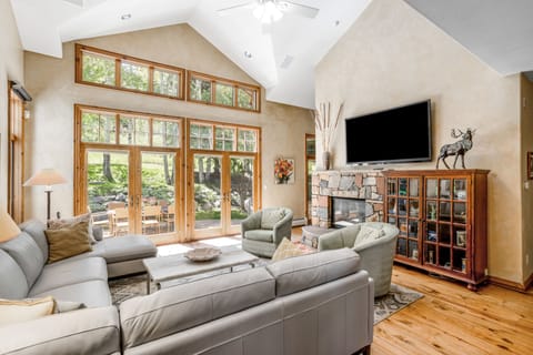 TV, fireplace, books