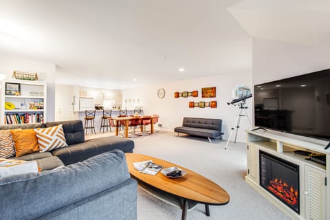 TV, fireplace, books