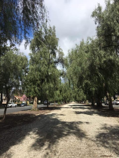 Euclid walking trail near home