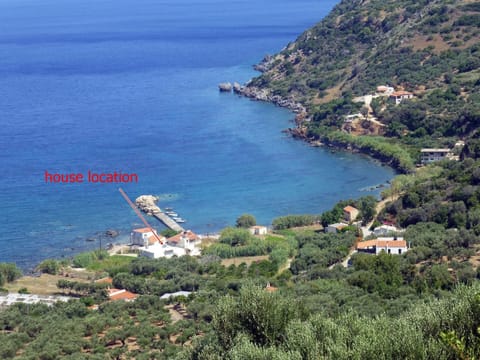 Area that directly surrounds the property