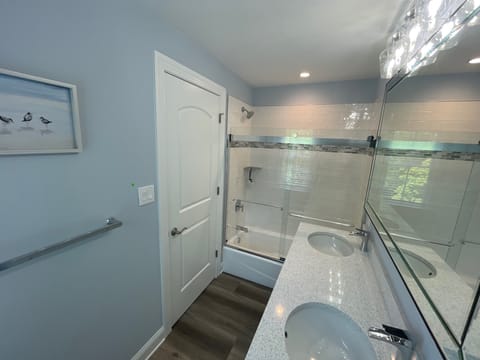 Combined shower/tub, hair dryer