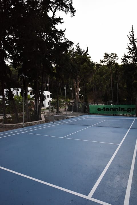 Sport court