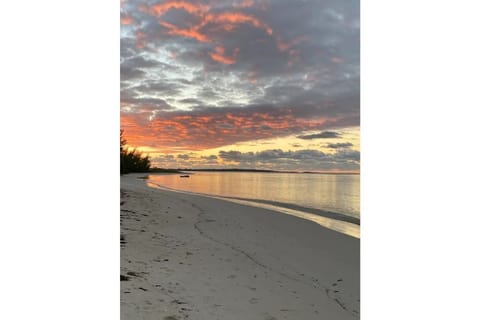 On the beach