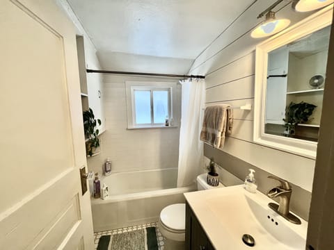 Combined shower/tub