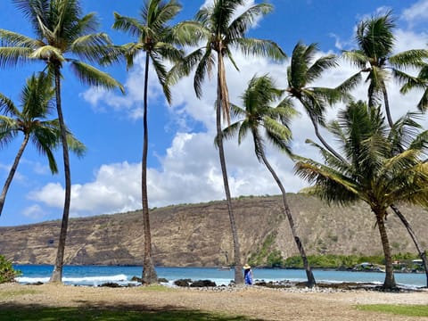 Sun loungers, beach towels