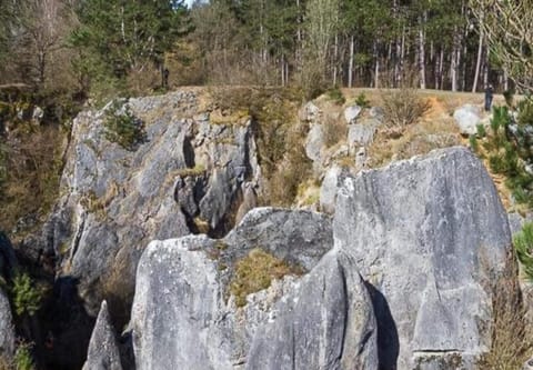 Region [summer] (>5 km)