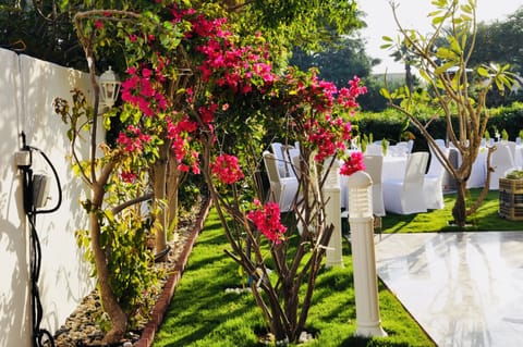 Outdoor banquet area