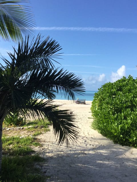 On the beach, sun loungers, beach towels