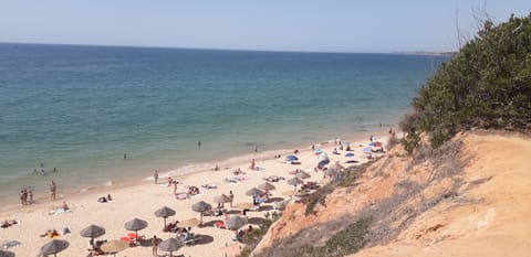 Beach nearby, sun loungers