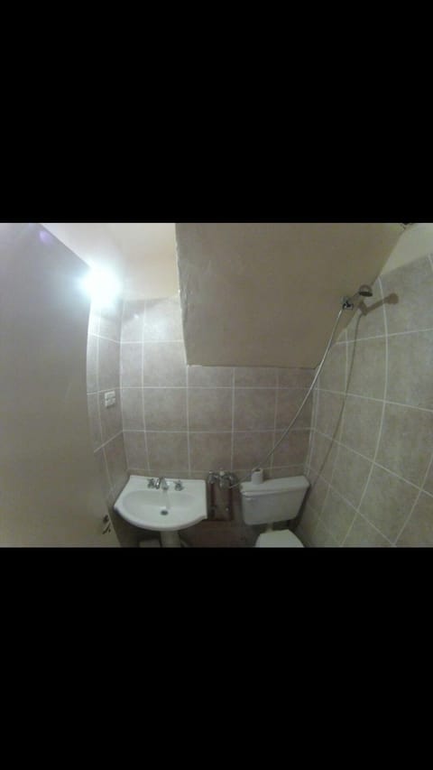 Combined shower/tub, bidet