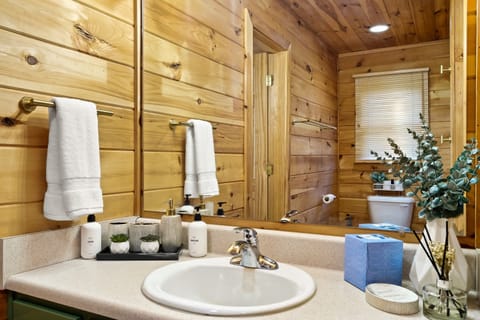 Combined shower/tub, hair dryer, towels, soap