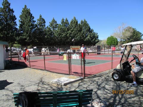 Sport court