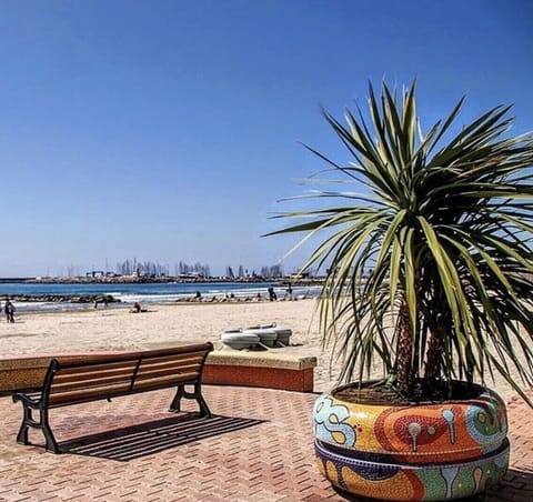 On the beach, sun loungers