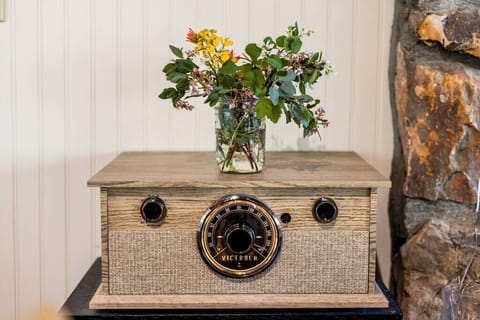 Vinyl player with bluetooth technology