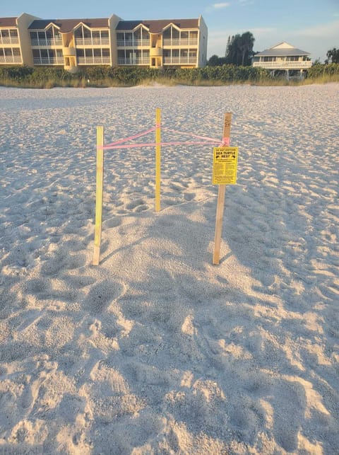 Beach nearby, sun loungers, beach towels