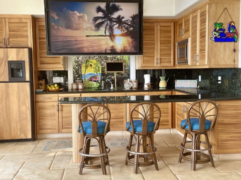 Lanai Bar with fold down big screen TV
