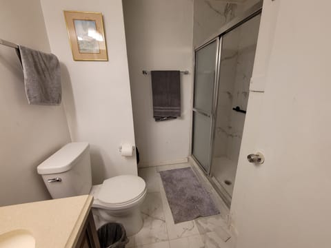 Combined shower/tub, hair dryer, towels, soap