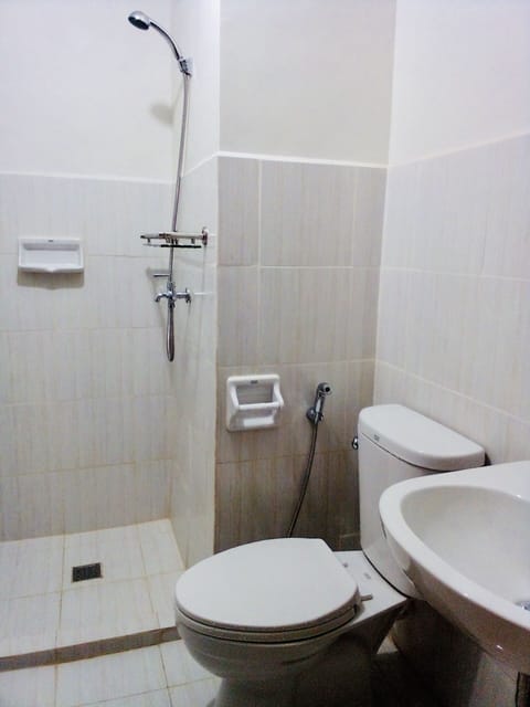 Combined shower/tub, bidet